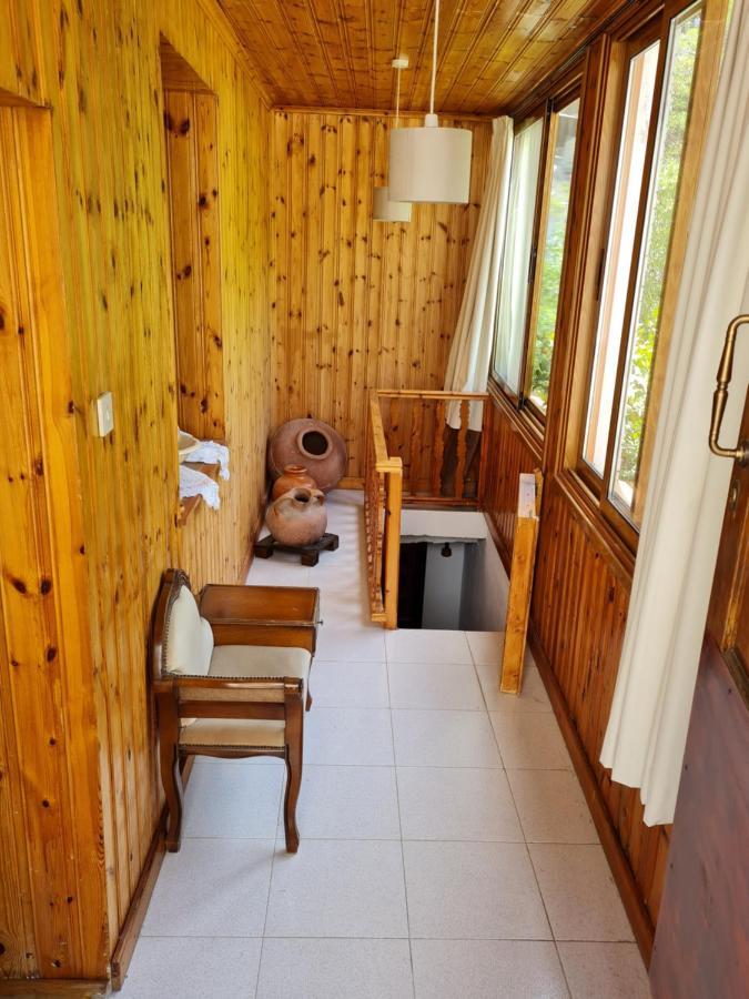Elpiniki'S Old House Villa Kalopanajótisz Kültér fotó